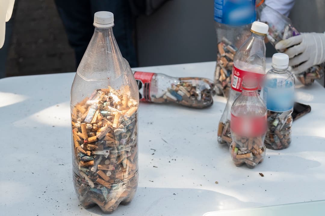 Recogen Más de 15 Mil Colillas de Cigarros en “Colillatón”